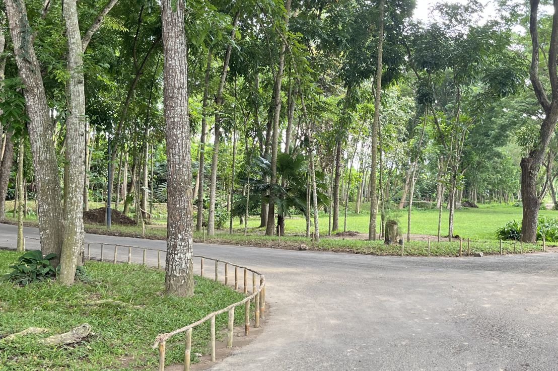 jogging track